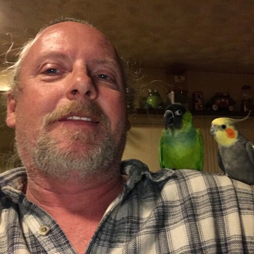 Former Touring musician, present mountain hermit