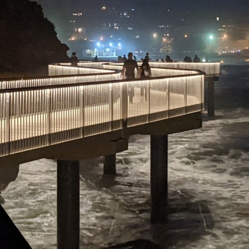 Dad, Australian, Business owner. Trump won.