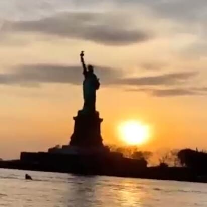 CCP≠ Chinese 
CCP is evil 👹
Take down the CCP