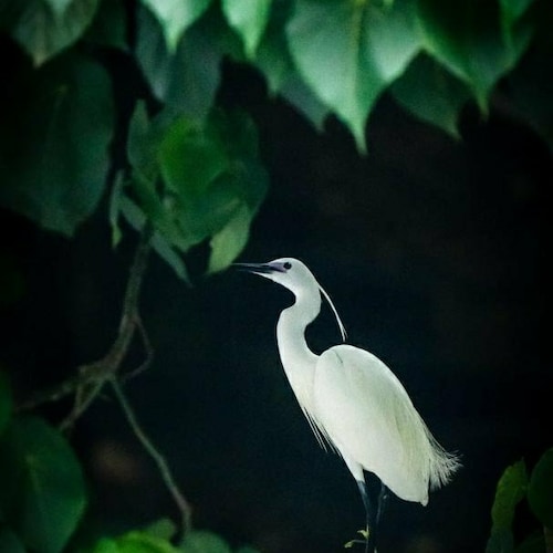 为正义，自由，法制，民主，公平而战，暴料革命，新中国联邦必胜！新中国联邦人，永不为奴！道可道，非恒道。名可名，非恒名。
Everything is just  beginning
七哥一直在警醒新中国联人依“道”而行，以道合一，顺其自然，遵...