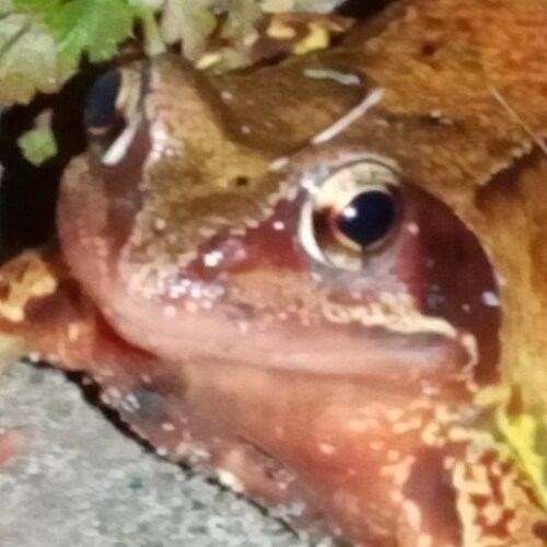 a true realist that sees the truth in front of them

On Tuth @thetruerealist