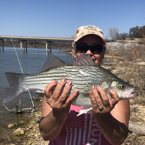 love the great state of Texas. our law enforcement military and fishing. and all the great people that make our country great. USA🇺🇸