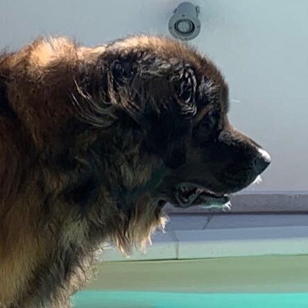 La preuve la plus certaine que la vie intelligente existe ailleurs dans l'univers est qu'aucun d'eux n'a essayé de nous ...