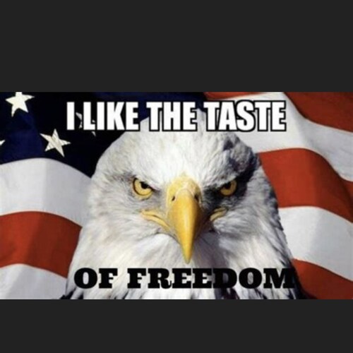 Wife, mom and gram. God is my guide. I am here to serve Him. No one else. My freedom is God given. I love my country.