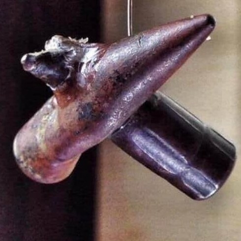 Opossum groomer and Hackmanologist.