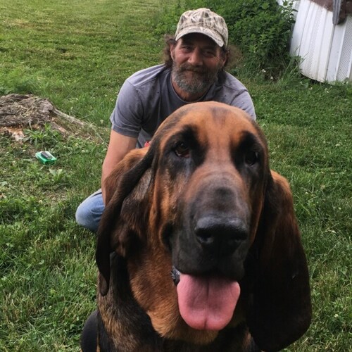 MAGA SUPPORTER, ANTI RINO, dog lover and hard working American,,,AUDIT PA.,,, Whatever your selling I ain't buying, if you just want chew the fat, that's fine
