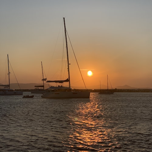 Visit Lion_Paw's profile on GETTR. View their posts, photos, videos, and connect with them on the social platform.