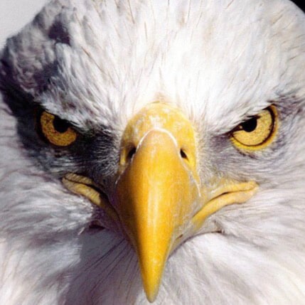 GOD FAMILY MAGA USMC