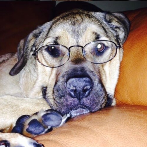 Outspoken conservative fighting for our country