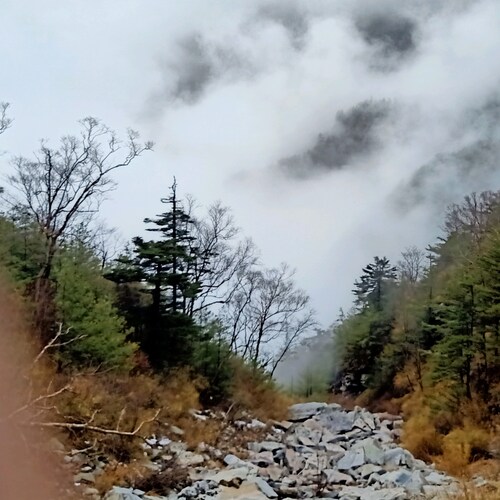 怎么从香草山农场转其他农场？望战友告知 #