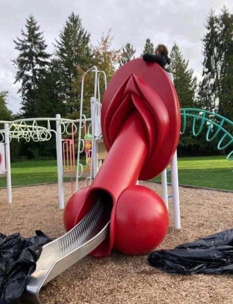 WTF ! This is a New Slide on a kids playground in Maple Ridge,  British Columbia 