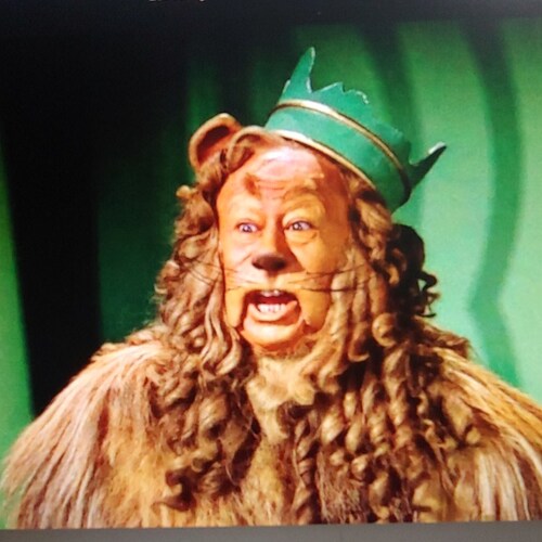 You can never corner me as I live in a round Beautiful World.
God, MARRIED, our Country #1. 
USMC 
Strictly an opinionis...