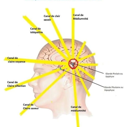 Ingénieur retraité