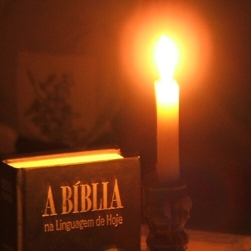 aprenda Horta em Apartamentos e pequenos espaços!
https://carlos-brand.com/horta/