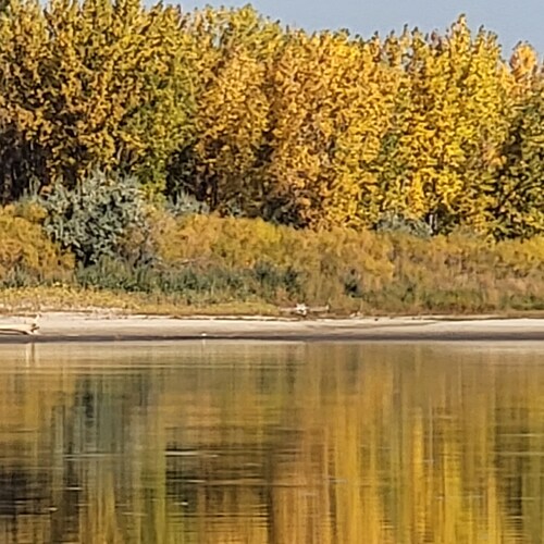 Trump won 2020
We need to have our voices heard. These left swamp politicians don’t care about the people of USA