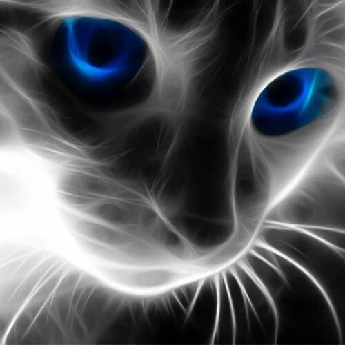 USAF Vet, Patriot, MAGA, 2nd Amendment Absolutist