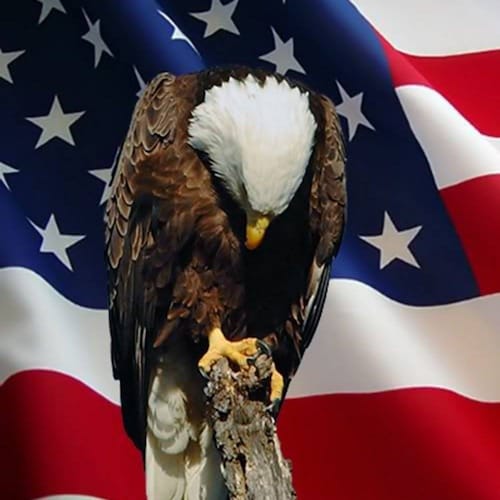 Barry Draper  - A leading agency providing access to TheSmartHealthPlan.com . The patriot economy's answer to Healthcare Plans.

Americans helping Americans!