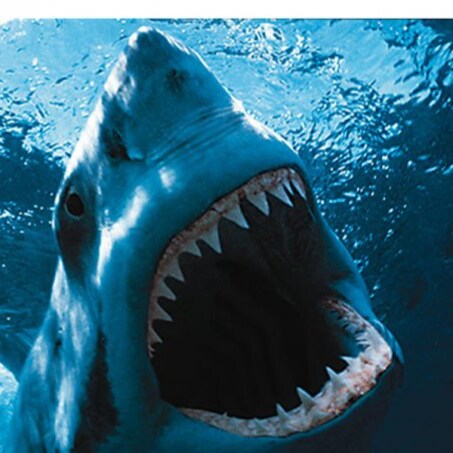 Visit thebobster1's profile on GETTR. View their posts, photos, videos, and connect with them on the social platform.