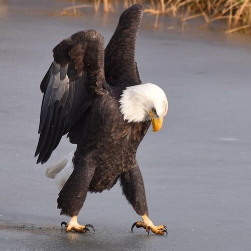 🚨Who's in control?🚨