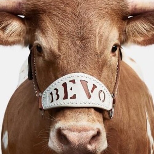 Hook’em & WhoDat!  MAGA 45-2  ousuxs