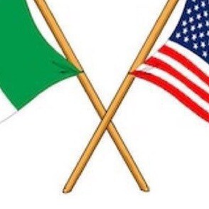 Irish American chick who misses the old NYC and believes #45 will return as #47 - not over!