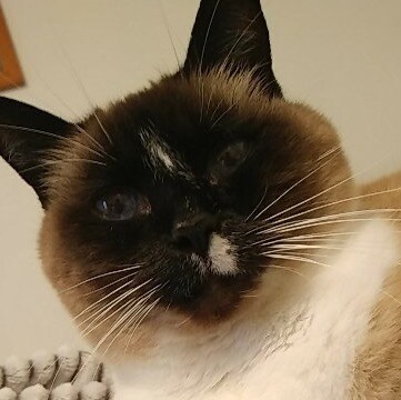 sex sells just came on… coincidence, i think not😏! come on over bby