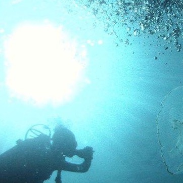 Visit CCSphere's profile on GETTR. View their posts, photos, videos, and connect with them on the social platform.