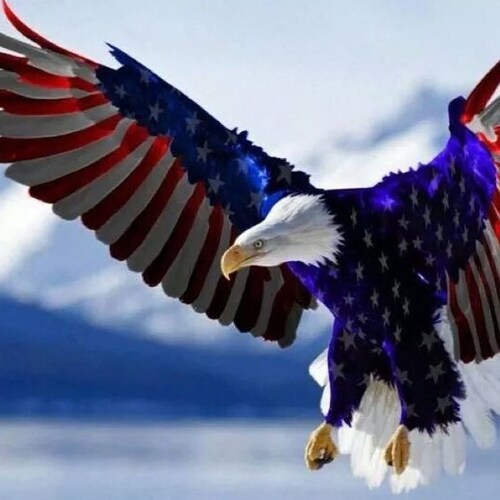 God Bless the USA!  God Bless the US Military!  Back the Blue!