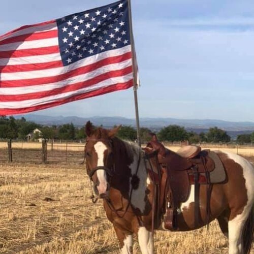 🇺🇲Sarcastic, educated, filthy mouth. I ... and wtf a lot. 🇺🇲 🚫DMs