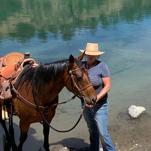 I love CA, hate what it’s become #recallnewsom #Trumpwon