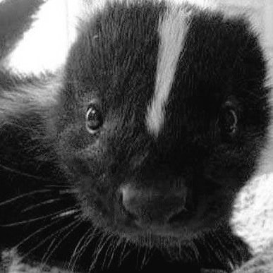 i know i am a cutie pie. watch out tho, sometimes i can be a lil stinker