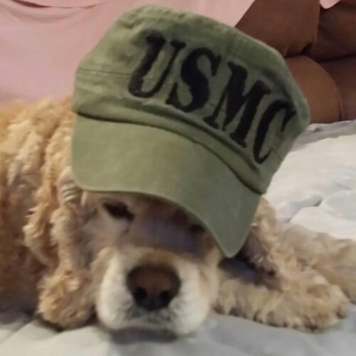 Dogfaced Pony Soldier, Deplorable,MAGA, Trumpster
“@TruckerBobS47 on Truth Social @TruckerBobS47 on Truth Social
@Trucke...