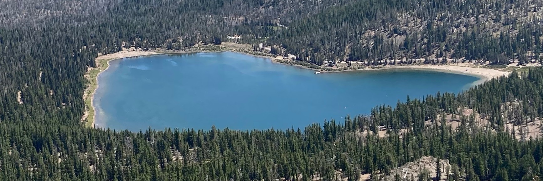 Bigfoot Real Estate Investing on GETTR