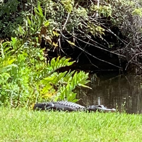 Husband,Father,Veteran.