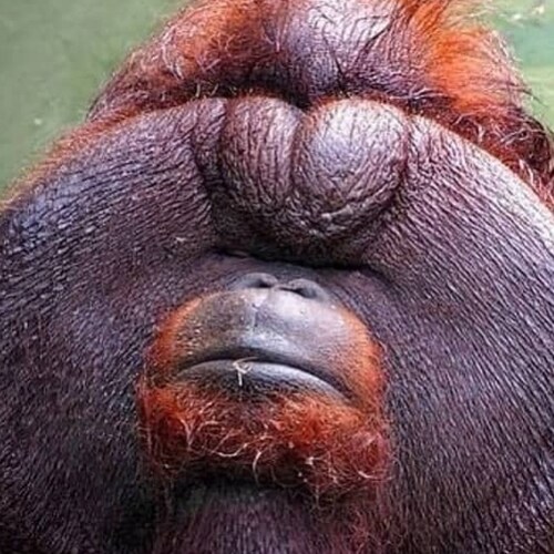 Bitcoin since 2013.  Bitcoin mining since 2019. ♾️ / 21M
                             
                             🎾 �...