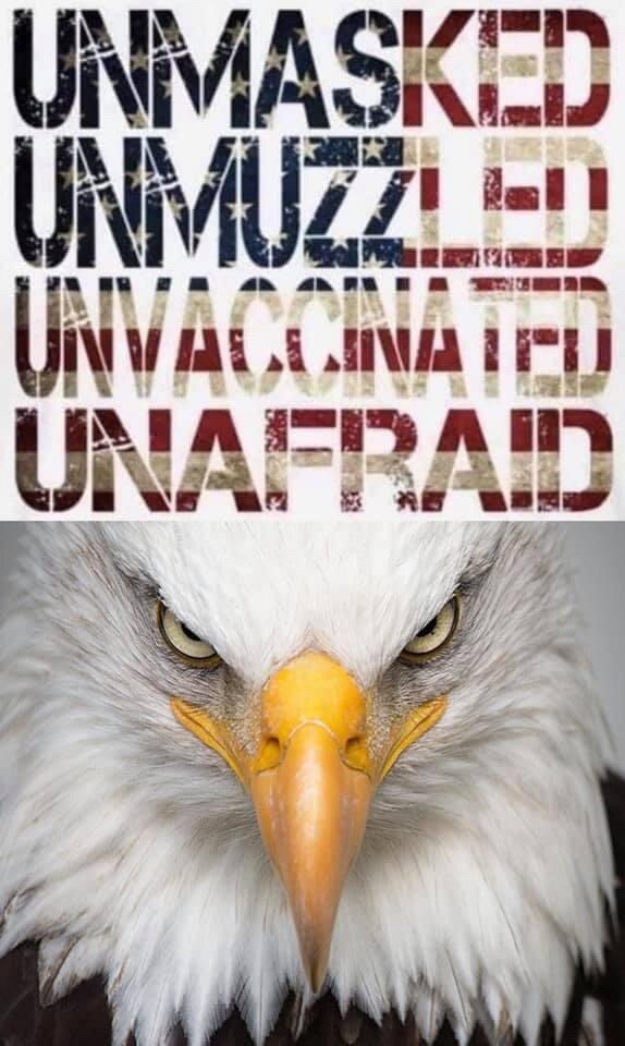 View mac___'s post on GETTR. Join the discussion, share your thoughts, and connect with the community.