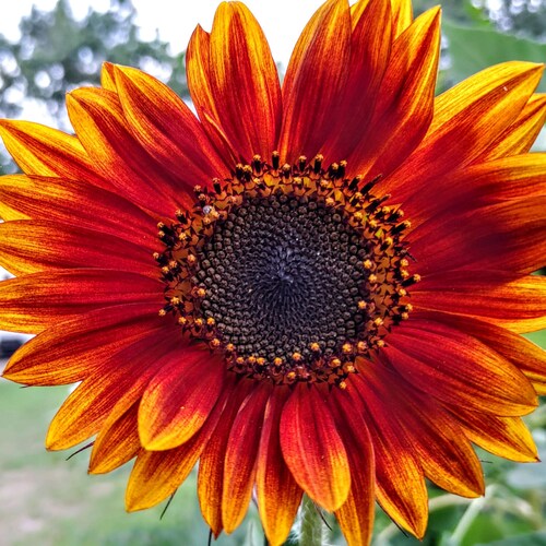 Wife & dog mom 💚 I love God and spreading joy. Arkansas girl