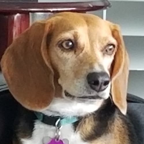 Visit cjs2828's profile on GETTR. View their posts, photos, videos, and connect with them on the social platform.