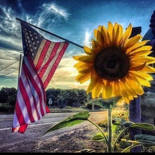 Democrats/Liberals are a waste of skin. WWG1WGA
Pure Blood! 🩸
Trolls and Dumbocraps will be blocked! 
Ultra Maga! 🇺🇲
Live Free or Die!
🚨 NO DM's! 🚨