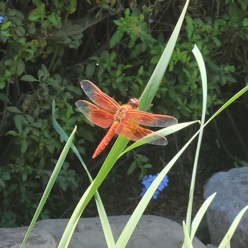 Visit gardengirl23's profile on GETTR. View their posts, photos, videos, and connect with them on the social platform.