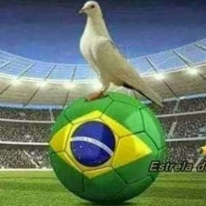 Visit oscarbolsonaro's profile on GETTR. View their posts, photos, videos, and connect with them on the social platform.