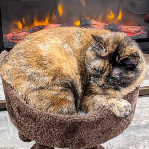 Trump is my president! I love God, Jesus, the Holy Spirit! ✝️ I love the USA 🇺🇲 and America first! prol-ife, pro 2nd a...