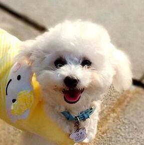 #FreeMilesGuo Everything has begun!