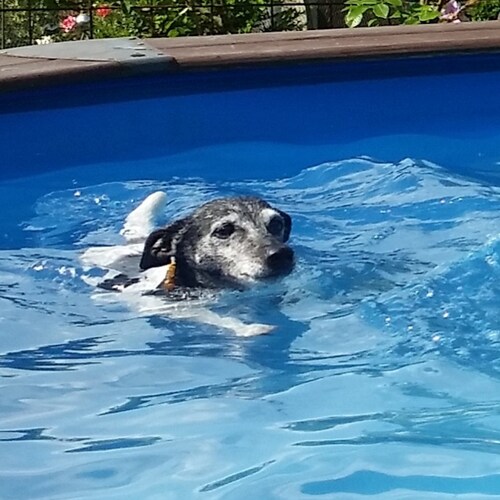 Visit juhry's profile on GETTR. View their posts, photos, videos, and connect with them on the social platform.