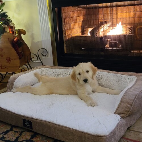 God First.
Husband to a hottie
Daddy to 2 beautiful women
fur parent
freedom isn't free
Stand your ground