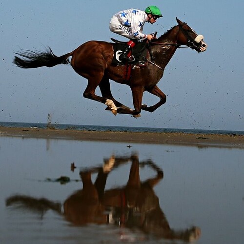 ex- Thoroughbred trainer, owner and bloodstock agent.