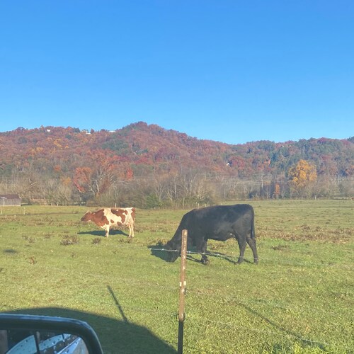 living life without fear