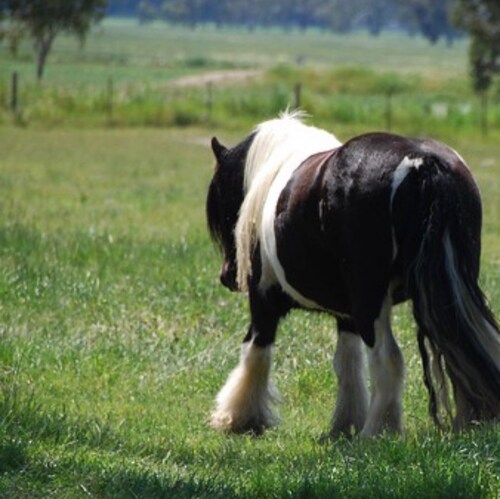 Uneducated heathen. Supports people's right to life, liberty, and the pursuit of learning the difference btw "sardonic" ...