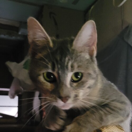 living life, loving life