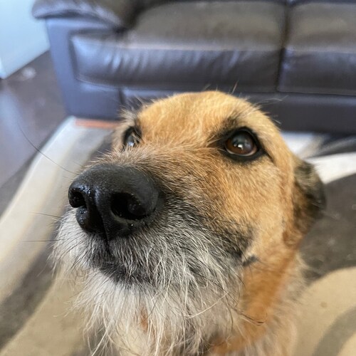 "When tyranny becomes law, rebellion becomes duty."  Thomas Jefferson
Fortis Fortuna Adiuvat...fortune/luck will come to...